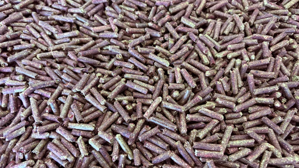 Senné granule s příchutí ŘEPY Ø 4 mm 750g