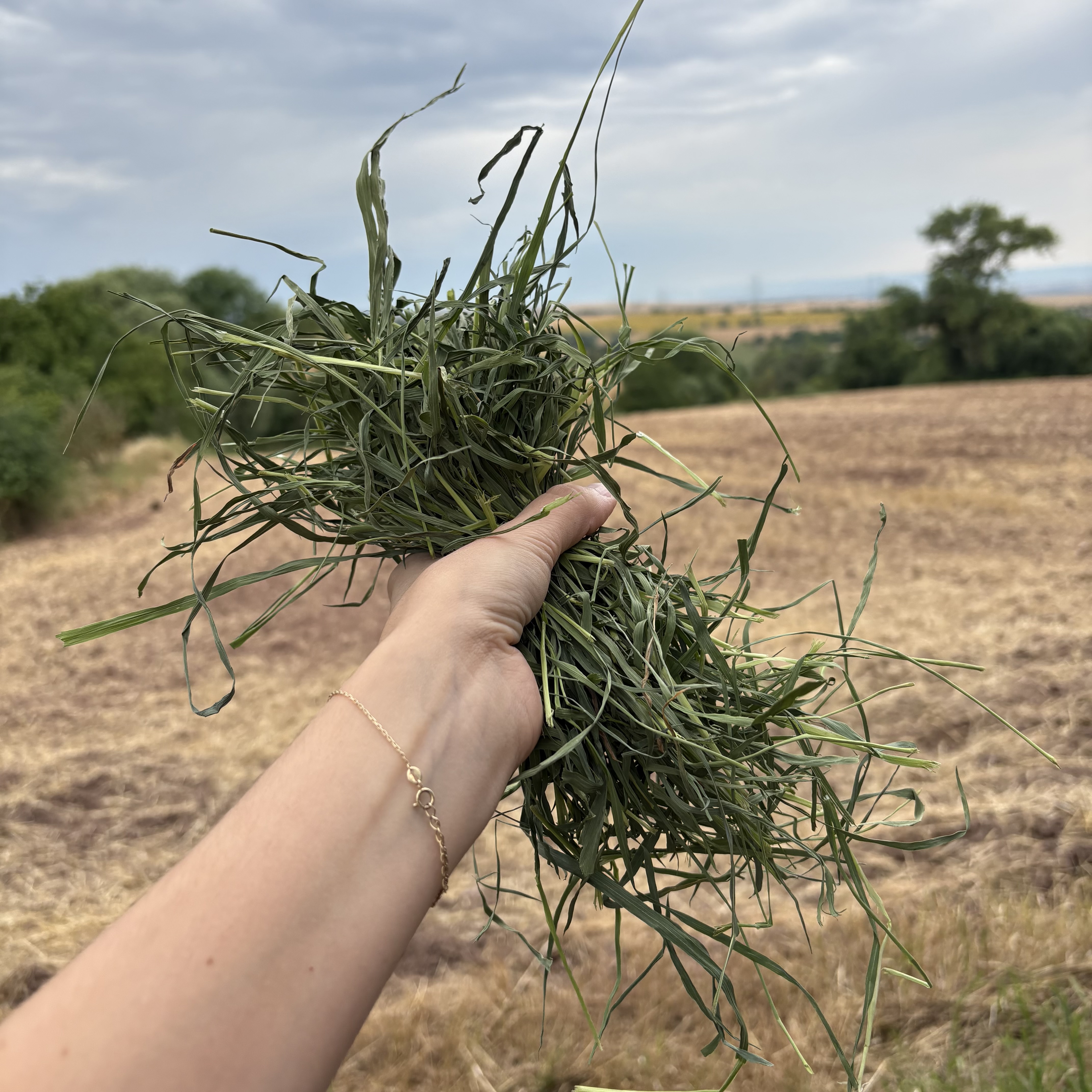 Jemná MILVI "prémiovka" 0,5kg