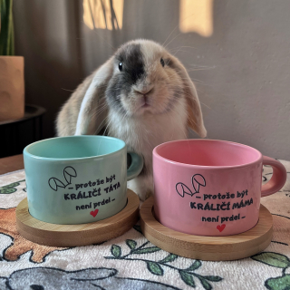 🐰MILVI HRNÍČKY pro králičí rodiče☕